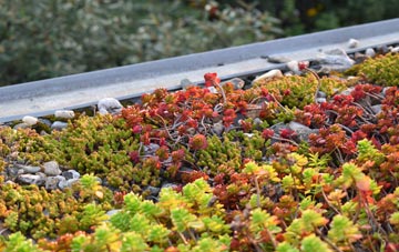 the cost of Kilkhampton green roof installation