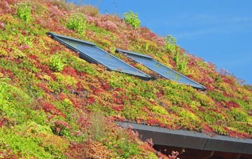 Kilkhampton living roof systems