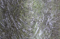 Kilkhampton fibreglass roof work